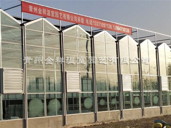玻璃溫室大棚